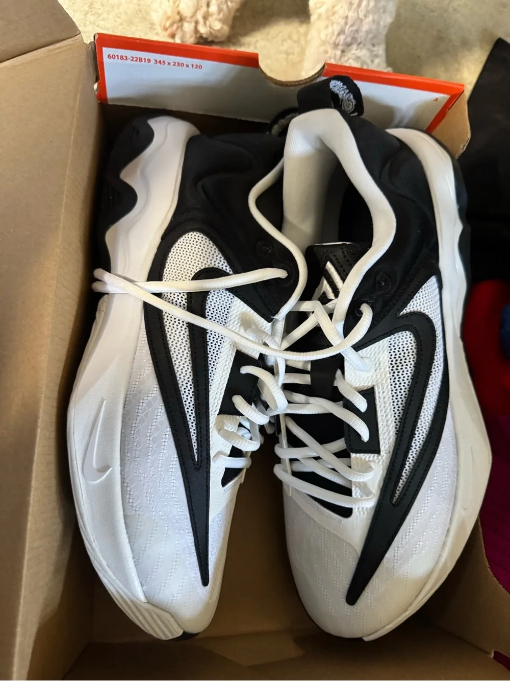 Nike Bright Orange Shoe Box with Labels